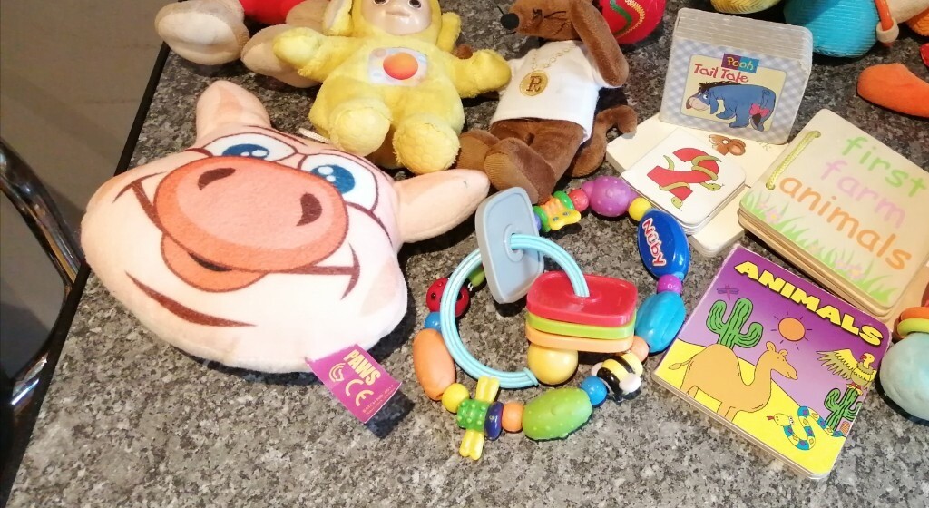 rasta mouse teddy